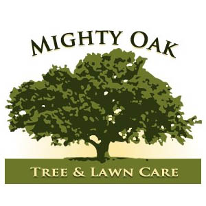 Mighty Oak Tree Lawn Care Stratford Ct Lawn Tree Services